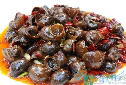 Ƥ�������ܳ�������  