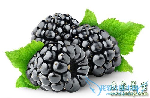 8����ɫʳ�������˥��(5)