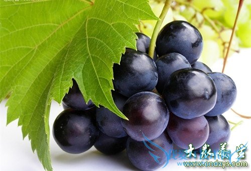 8����ɫʳ�������˥��(4)