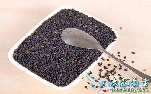 �������衱�ݵ� �س�����ʳ��(1)