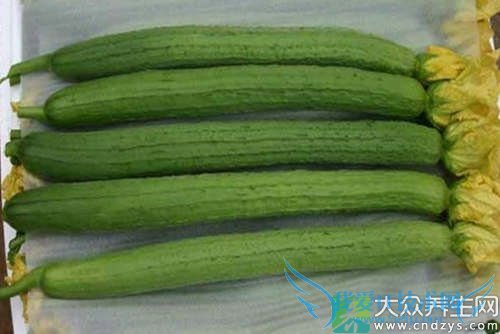 �и��ܳ�˿����