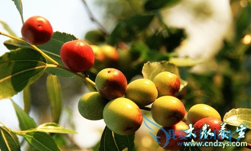 ��Ѫѹ�ܳ�������