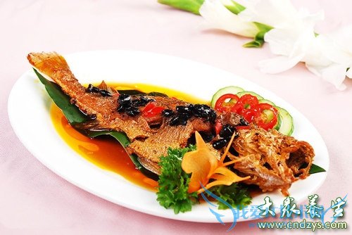 ʹ����Խ��Խ������9��ʳ��(4)