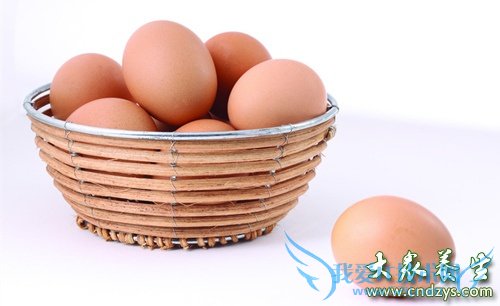 ʹ����Խ��Խ������9��ʳ��(2)