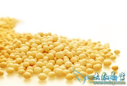 ʹ����Խ��Խ������9��ʳ��(3)