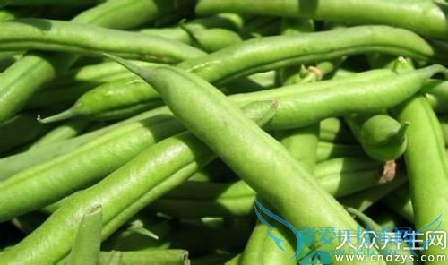 �����ܳ��ļ�����