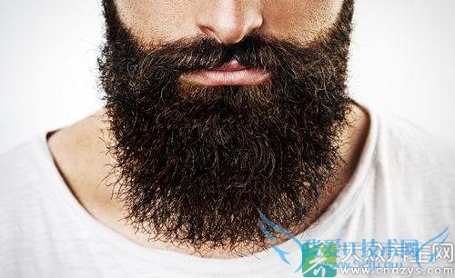 ?���룬�����Թ��ܵ�ָʾ��(2)