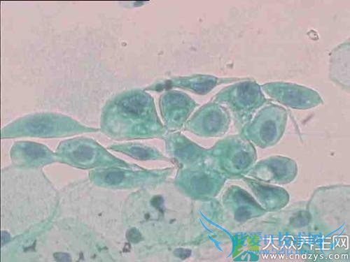 ����ҽ�������Ů�Ե�8����(3)