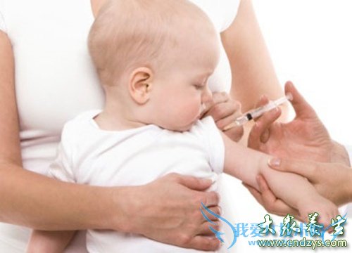 ������Ԥ����