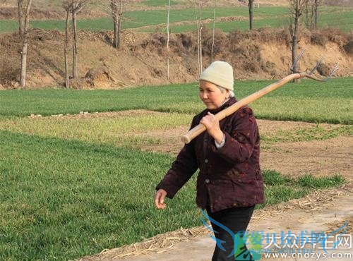 ��ҽ�������ʪ�ؽ���