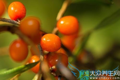 �����ܳ�ɳ����