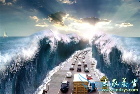 �������ʽ��Ů�˶���(6)