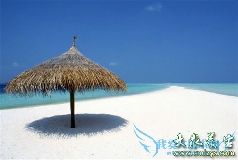 �������ʽ��Ů�˶���(4)