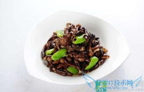 �����ܳ��Ģ��