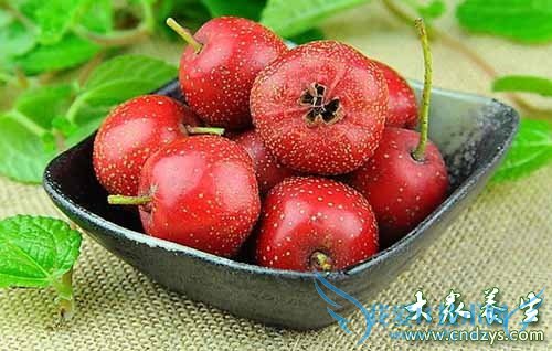 Ů��6���򵥲�ѪС����(5)