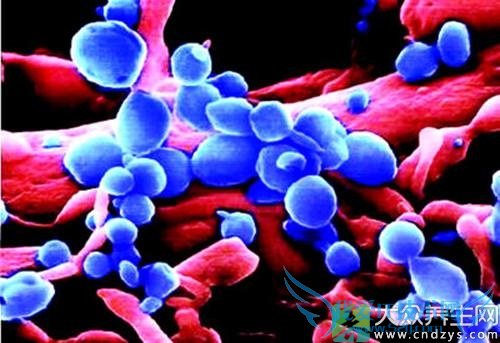 ����Ϊ�͹������Ĺ�ϵ(1)