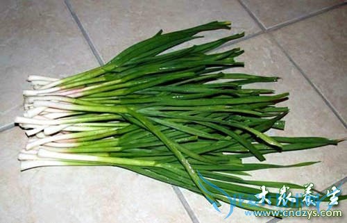 �и��ܳ�������