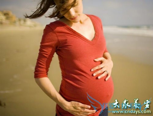 ���������¶�����