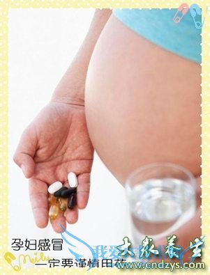 �����ʱ��ҩ���̥����Ӱ��(1)