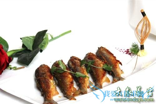 �����ܳ��������� 