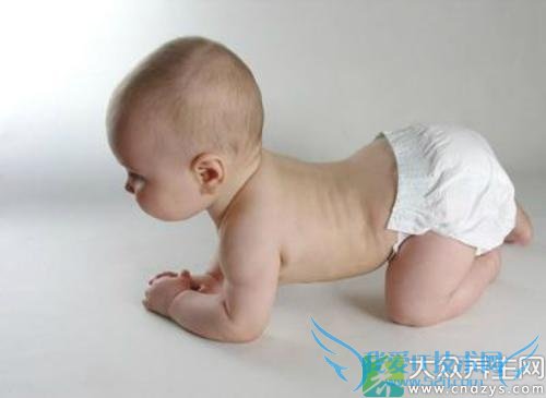 �����ʪ�������