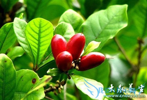 �¾��ڳ����ع�����