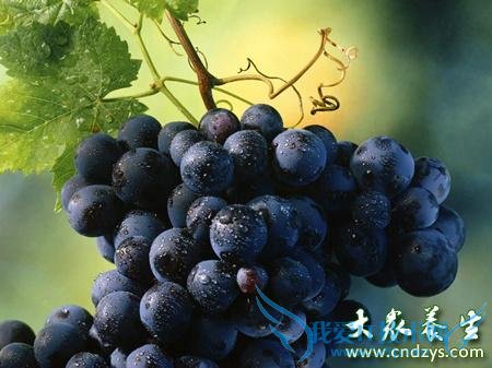  Ů�Գ�������������ˮ��  ���������Ĳ���(2)