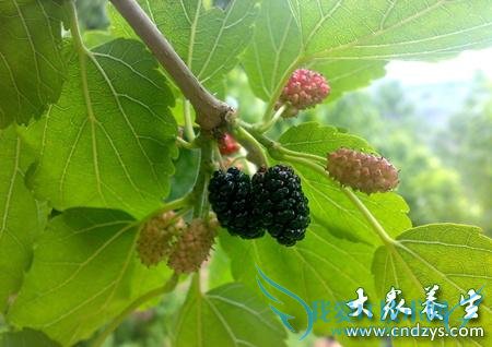  Ů�Գ�������������ˮ��  ���������Ĳ���(4)