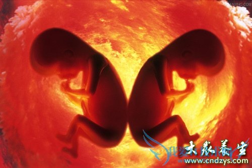 Ԥ���ڹ�����ô��  