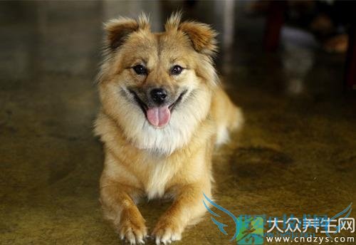 ��ˮ֢��֢״ 