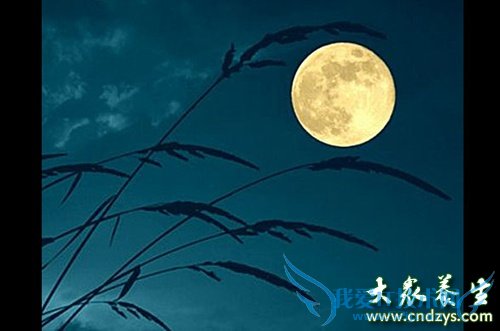 Ů��ÿ���⼸��ǧ�������(10)