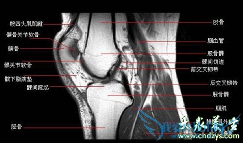 Ů�����λ��������(4)