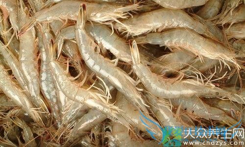 �����ܳԺ�Ϻ�� 