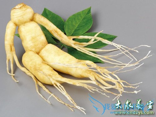 ���²��в�����ʳ������Щ��  (5)