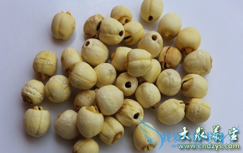 ר���Ƽ��Ĳ�������ѹҩ��(5)