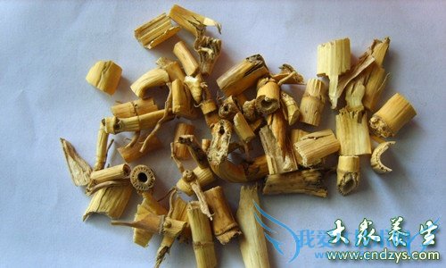 Ƥ�������ܳ�«����