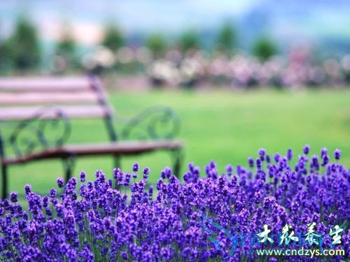 ������֢����Щ(4)