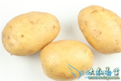 �����ʳ�� ������Ӫ��(5)