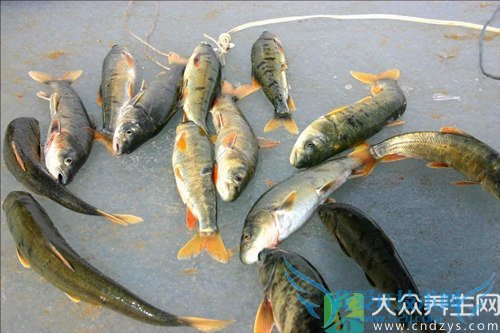 �����ܳ�������