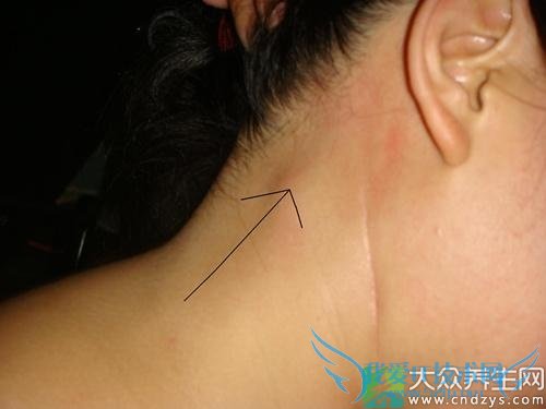 ���Ӻ��泤����������