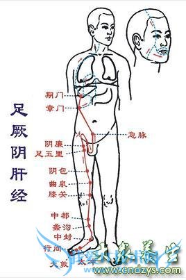 Ϊʲô����������������֢��(2)