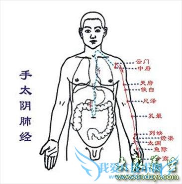 Ϊʲô����������������֢��(2)