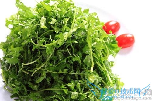 Ӥ�׶��ܳ�������