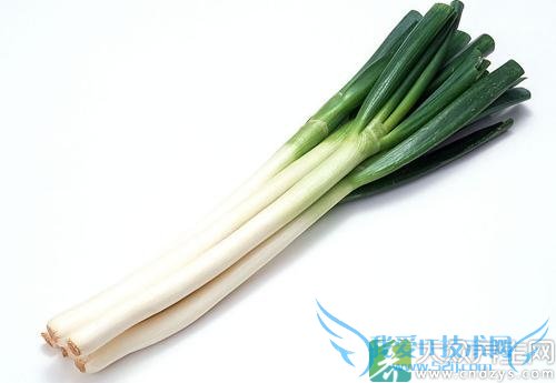 �¾��ܳԴ����