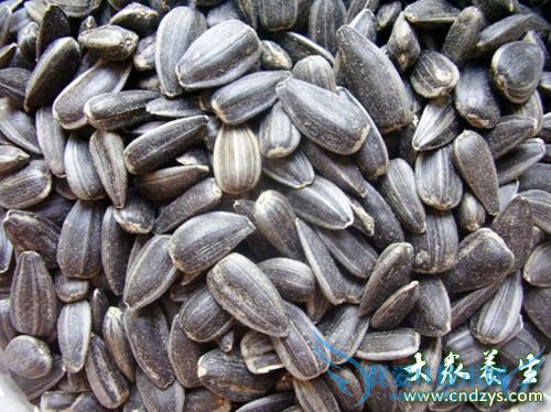 С�����ٰ���Ҳ���Ե�18�ֳ���ʳ��(14)