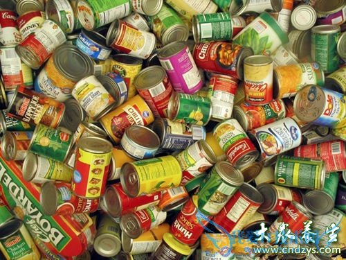 С�����ٰ���Ҳ���Ե�18�ֳ���ʳ��(18)