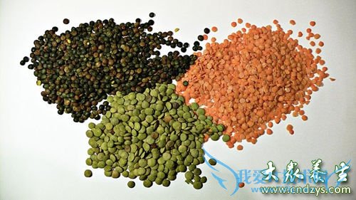 С�����ٰ���Ҳ���Ե�18�ֳ���ʳ��(9)