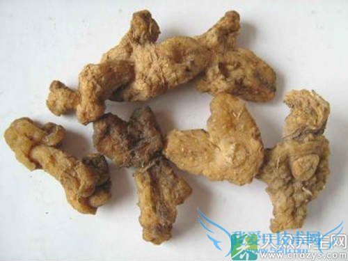 �����ܳԻƾ���