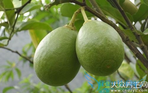 �����ܳ�������