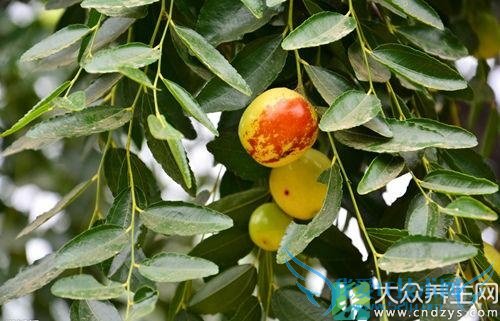 Ƥ�������ܳ�������